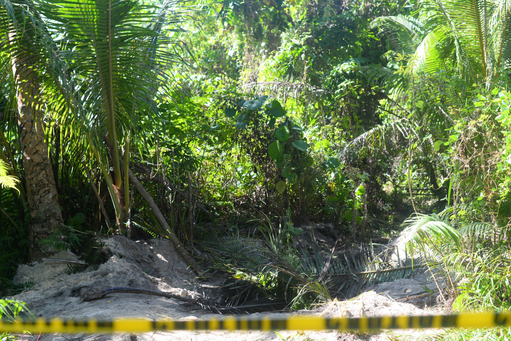 MURDER SUSPECT REMANDED